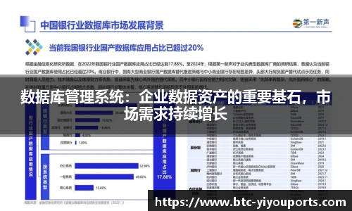 数据库管理系统：企业数据资产的重要基石，市场需求持续增长