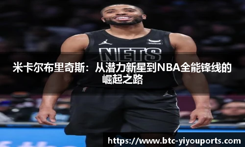 YY体育